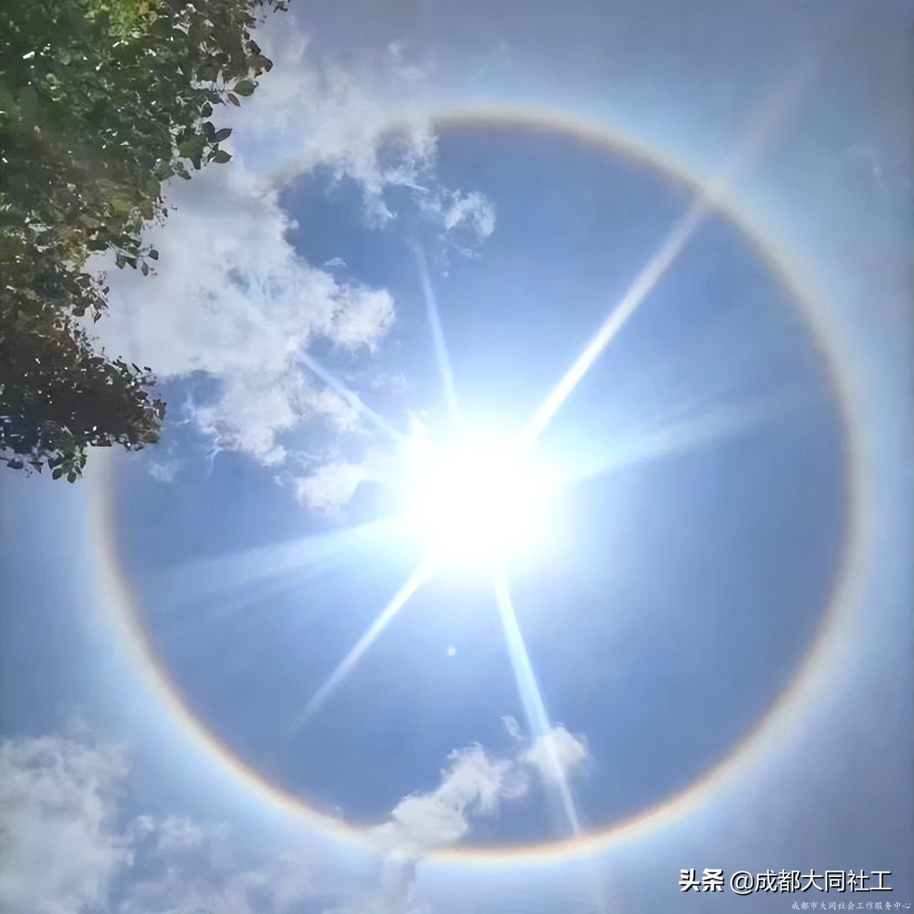 「省創投賽」四川省首屆公益創投大賽申報自(zì)帶光環出場答疑(一(yī))