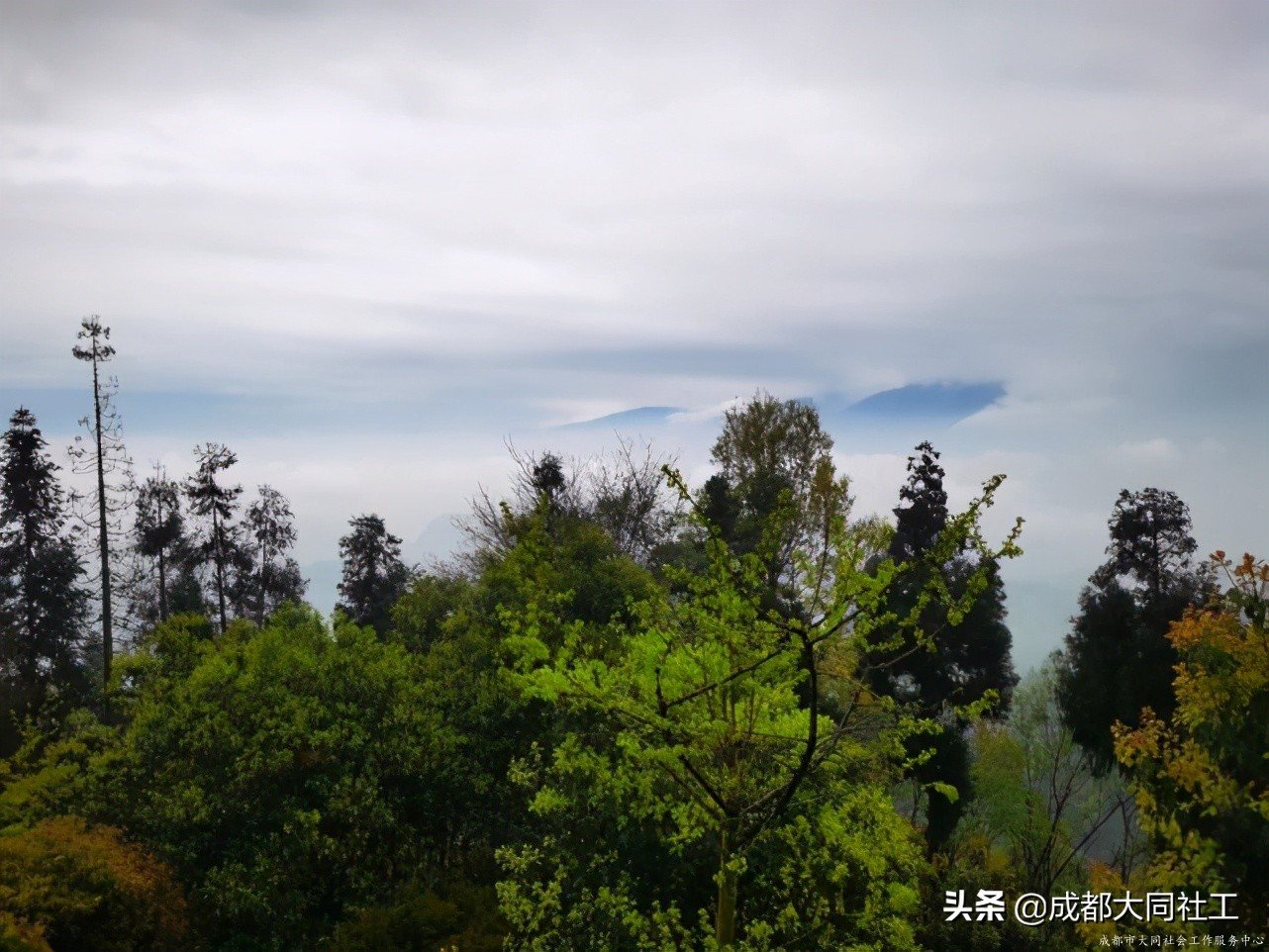 “文創犀浦,共營共建”公共空間運營項目——國學(xué)朗誦茶言活動