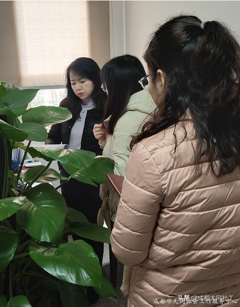 社工·社治 | 天府藝術公園周邊片區社區營造(一(yī))
